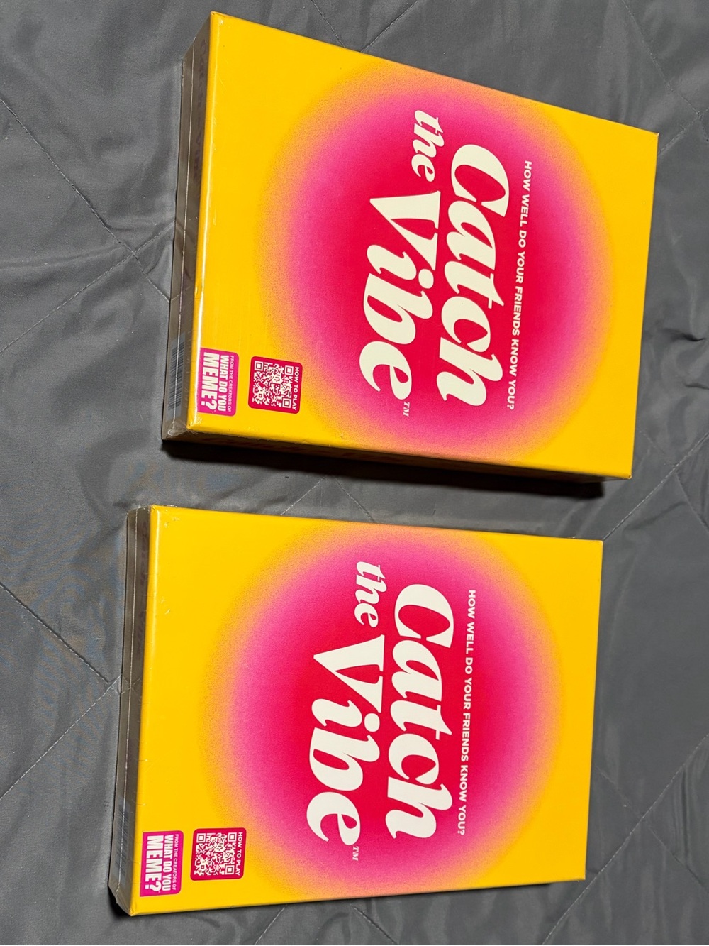 Catch the Vibe Games NWT